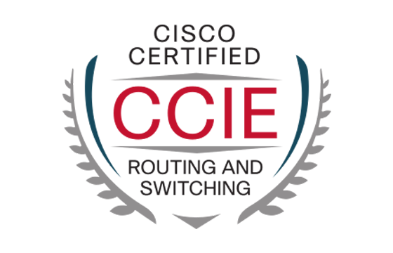 CCIE Certification questions and answers